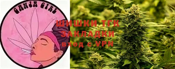 прущий лед Инсар
